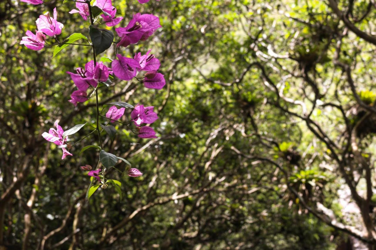 Hosteria El Trapiche Lodge & Spa Banos  Ngoại thất bức ảnh