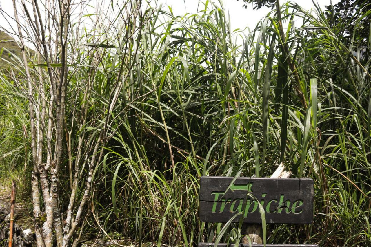 Hosteria El Trapiche Lodge & Spa Banos  Ngoại thất bức ảnh